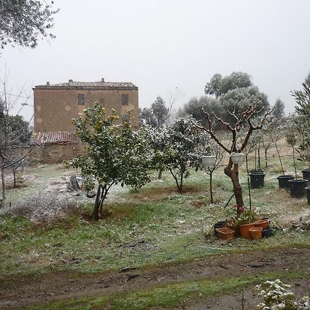 B&B Pietra-Monetta Pietra Moneta Buitenkant foto